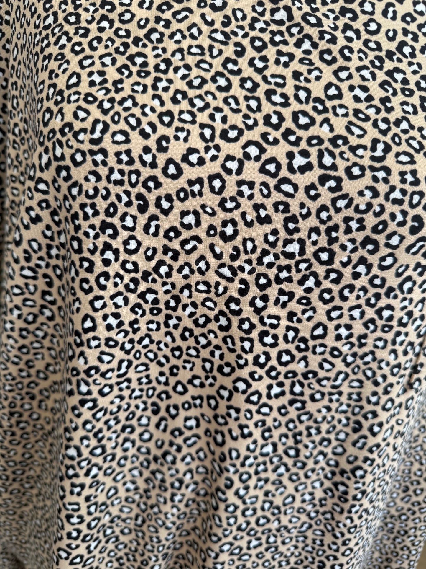 Cheetah Long Sleeve Tee PP027